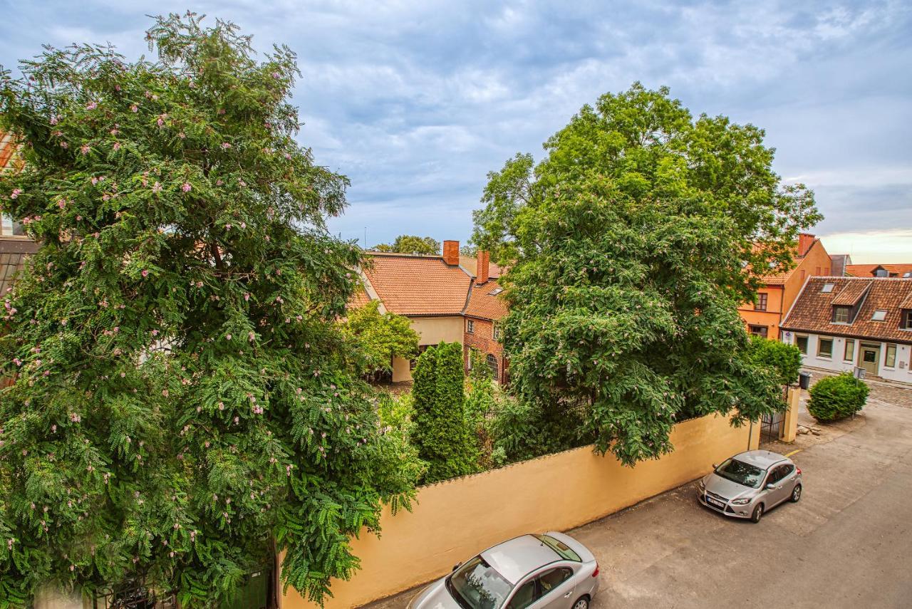 White Lily Apartment Klaipėda Esterno foto